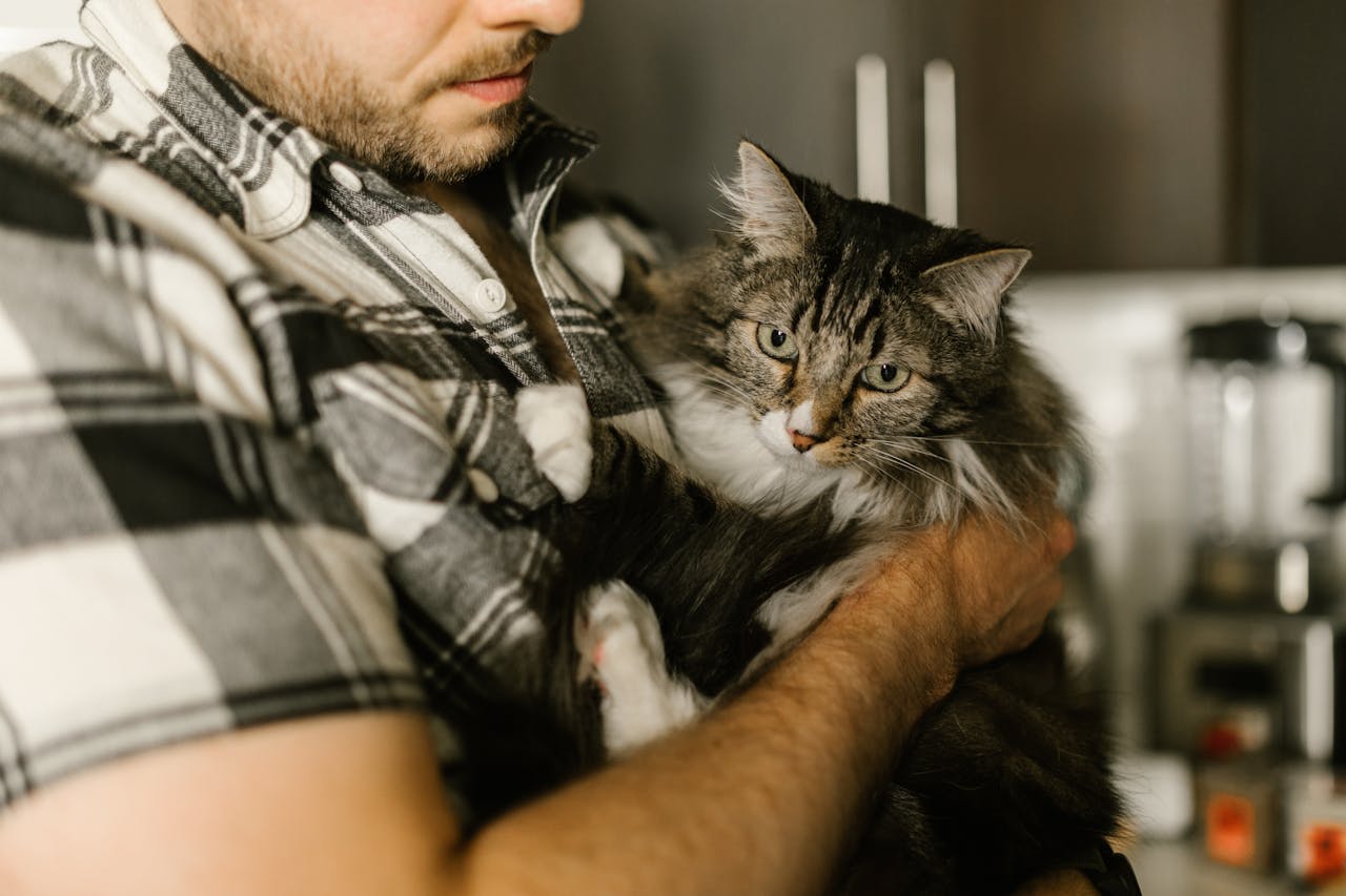 our-services-1 A bearded man in plaid holding a fluffy tabby cat indoors, showcasing a cozy pet moment.